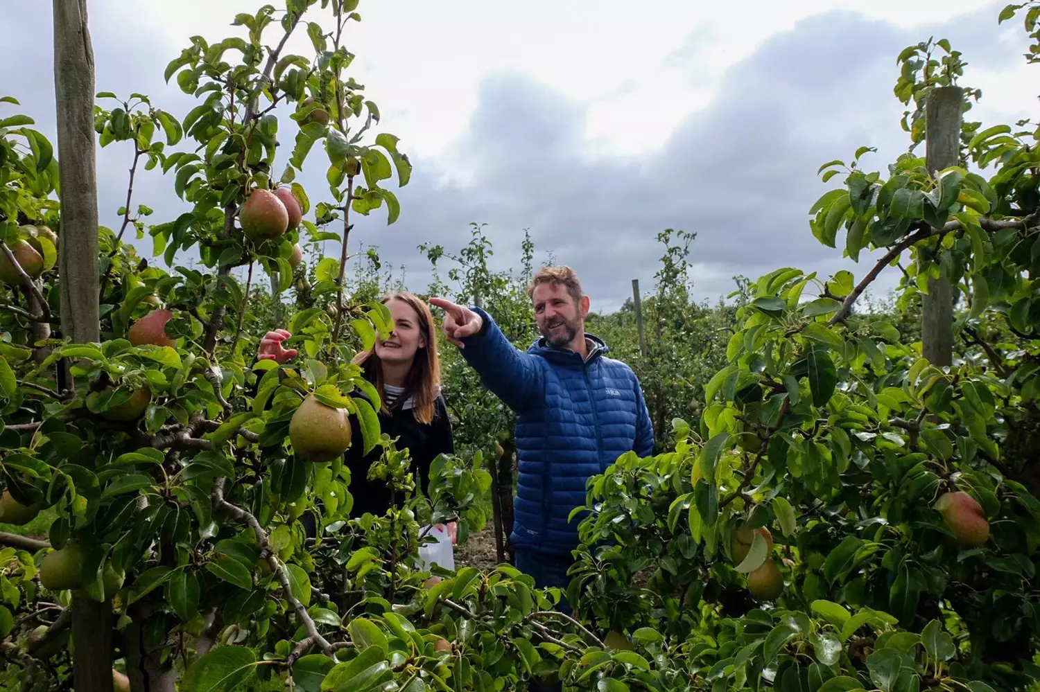 Brogdale Orchard